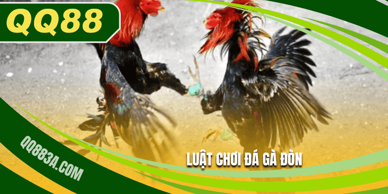 Luật chơi đá gà đòn