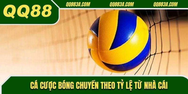 Cá cược bóng chuyền theo tỷ lệ từ nhà cái